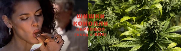 индика Бронницы