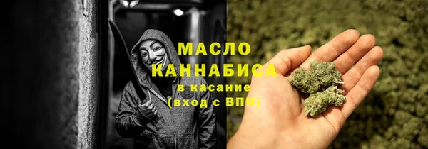 индика Бронницы