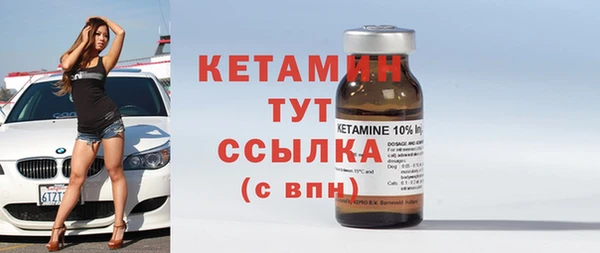 мяу мяу мука Тайга