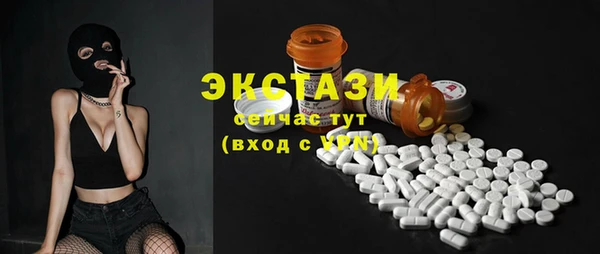 индика Бронницы