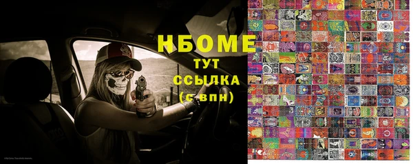индика Бронницы