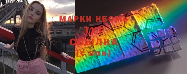 индика Бронницы