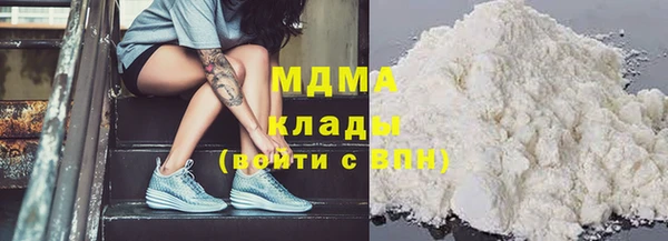 индика Бронницы