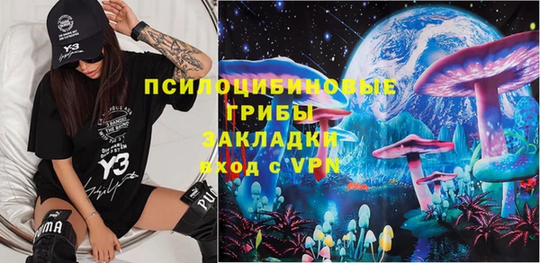 индика Бронницы