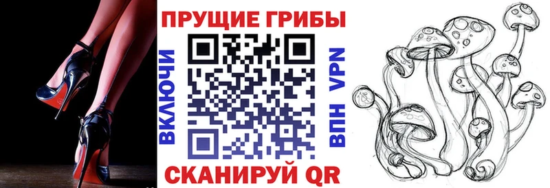 Галлюциногенные грибы мицелий  наркота  Козельск 